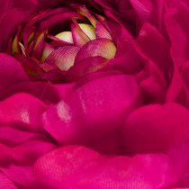 Article Renoncule artificielle en fleur unique pour une décoration intérieure intemporelle et polyvalente, 51 cm, lot de 3