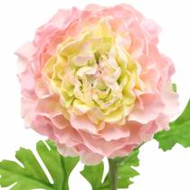 Article Renoncule rose H45cm