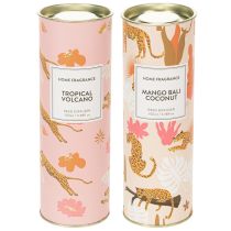 Article Diffuseur de parfum d'ambiance aux senteurs exotiques de noix de coco et de mangue pour une fraîcheur longue durée à la maison, 19 cm, lot de 2