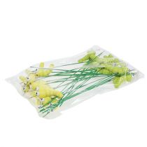 Article Chenille en bois sur bâton vert, jaune 8cm 24 pcs