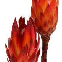 Repens rouge 2 tons 25pcs