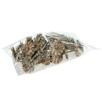 Article Repens rosace 6-7cm blanc lavé 25 pcs