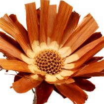 Article Repens Rosace Super 10 - 12cm 20 pcs