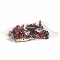 Article Repens Rosace Rouge 8cm - 9cm 25 pcs