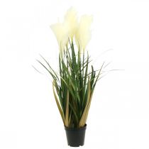 Article Roseau en pot Plante artificielle en pot Crème, Vert 79cm