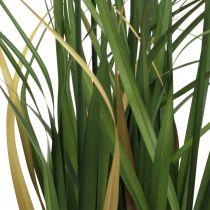 Article Plante artificielle Riedgras en pot, crème et vert, 79 cm