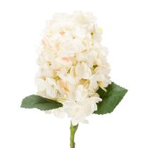 Article Fleur d'hortensia artificielle de haute qualité, idéale pour la décoration intérieure, 62 cm