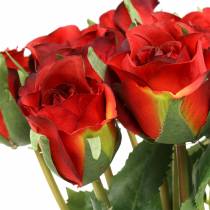 Rose rouge 42cm 12pcs