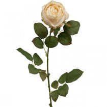 Rose couleur crème, fleur en soie, rose artificielle L74cm Ø7cm