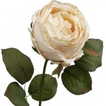 Article Rose artificielle crème en tissu soyeux, Ø 7 cm x H 74 cm