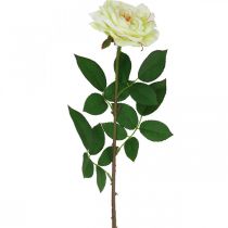 Article Rose artificielle, rose décorative, fleur de soie blanc crème, vert L72cm Ø12cm