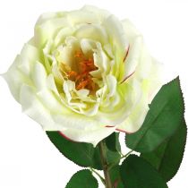 Article Rose artificielle, rose décorative, fleur de soie blanc crème, vert L72cm Ø12cm