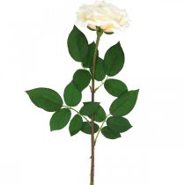Article Rose abricot blanc crémeux, fleur de soie, roses artificielles L72cm Ø12cm