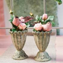 Rose dans le verre rose H23cm