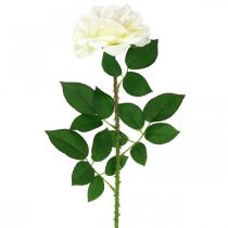Article Fleur en soie, rose sur tige, plante artificielle blanc crème, rose L72cm Ø13cm