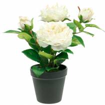 Pivoine dans un pot, rose décorative romantique, fleur de soie blanc crème