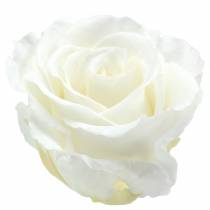 Roses infinies grandes Ø5.5-6cm blanches 6pcs