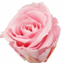 Article Roses éternelles moyennes Ø4-4.5cm rose 8pcs
