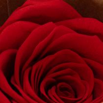 Article Roses stabilisées décoratives, 5 cm, lot de 6, pour une touche romantique dans votre salon ou pour un mariage.