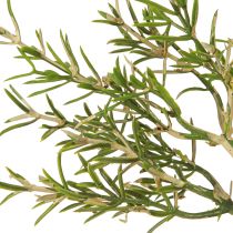 Article Romarin en pot Herbes artificielles Plantes vertes H24cm