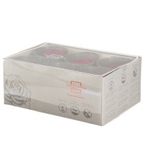 Article Roses éternelles rouges déco Fleurs stabilisées Ø6cm 6pcs