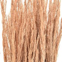 Article Herbe courbée rouge Agrostis Herbe sèche rouge brun 65cm 80g