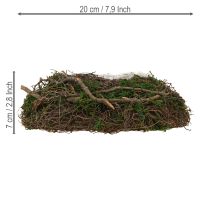 Article Coupe décorative ronde en branches et mousse avec intérieur en plastique, Ø20 cm