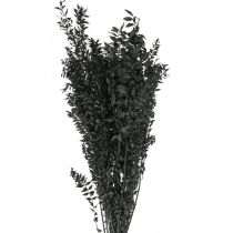 Article Branches de Ruscus branches décoratives fleurs séchées noires 200g