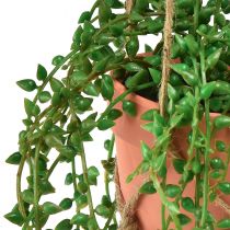 Article Plantes succulentes artificielles suspendues en pot 34 cm