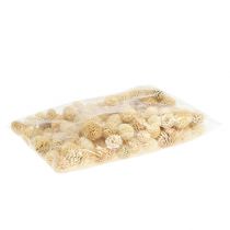 Article Cônes de Sabulosum blanchis 500g