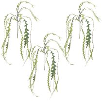 Article Feuille de scie artificielle Cactus Epiphyllum anguliger L68cm 3 pcs