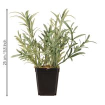 Article Sauge en pot Salvia Lavandulifolia Artificielle H25cm