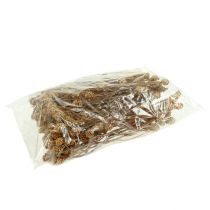 Article Salignum light 4-6 fleurs sur la branche de Leucadendron 100 pièces