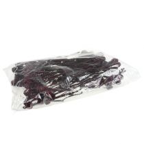 Article Branches naturelles avec pommes de pin teintées couleur baie, lot de 25
