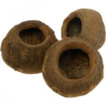 Article Lot de 3 pots en noix de Sapucaia naturelle Ø14cm H10cm