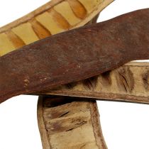 Article Pod Scaletta naturel 25cm - 50cm 25 pcs