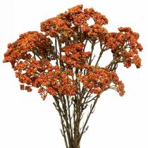 Achillée orange artificielle 74cm 3pcs