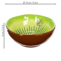 Article Bol de service en céramique, motif Kiwi. Idéal pour une table élégante ou un buffet. 15 cm