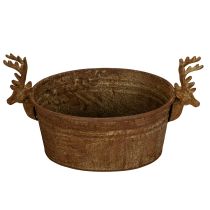 Article Coupe décorative ovale en métal rouillé avec têtes de cerf, 41 cm