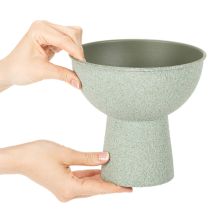 Article Coupe à plante en métal sur pied haut ronde 18cm vert clair