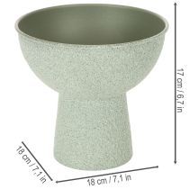 Article Coupe à plante en métal sur pied haut ronde 18cm vert clair