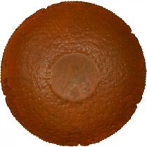 Article Coupe décorative en métal aspect rouille Ø30cm H8,5cm