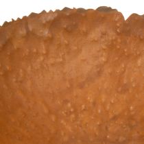 Article Coupe ronde en métal effet rouille surface texturée 20 cm