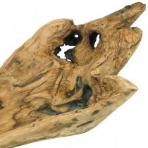 Bol décoratif en bois de Paulownia, plateau de fleurs, récipient en bois L58cm H7–8cm