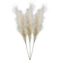 Plume Herbe Crème Chinois Reed Herbe Sèche Artificielle 100cm 3pcs
