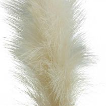 Plume Herbe Crème Chinois Reed Herbe Sèche Artificielle 100cm 3pcs