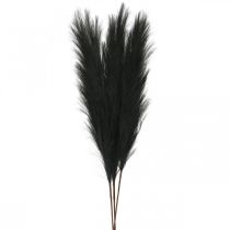 Plume Herbe Noir Chinois Reed Herbe Sèche Artificielle 100cm 3pcs