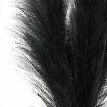 Plume Herbe Noir Chinois Reed Herbe Sèche Artificielle 100cm 3pcs