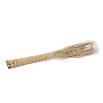 Article Lot de 100 roseaux décoratifs naturels séchés 70 cm