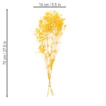 Article Bouquet de fleurs séchées avec gypsophile. Branches fleuries décoratives idéales pour la décoration de table saisonnière. 70 cm